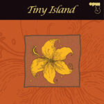 TINY ISLAND - TINY ISLAND