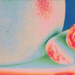 CITRUS CITRUS - ALBEDO MASSIMA Vinyl Record