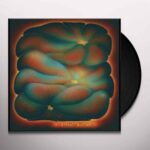 CLAIRE ROUSAY - A Softer Focus Vinyl Record