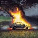 ADULT DUDE - Adult Moods Vinyl Record