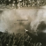 SOLE - Destituent
