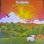 TIM HEIDECKER - Fear Of Death (Golden Sunset Vinyl)