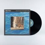 ALLEGRA KRIEGER - I Keep My Feet On The Fragile Plane Vinyl Record