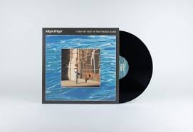 LPDDW092.jpg ALLEGRA KRIEGER - I Keep My Feet On The Fragile Plane Vinyl Record - Image 1