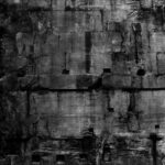 COFFIN DANCER - Pax Romana