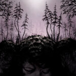 BIRDS OF PASSAGE - This Kindly Slumber
