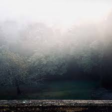 ROBIN SCHLOCHTERMEIER - Spectral (Colour Vinyl)