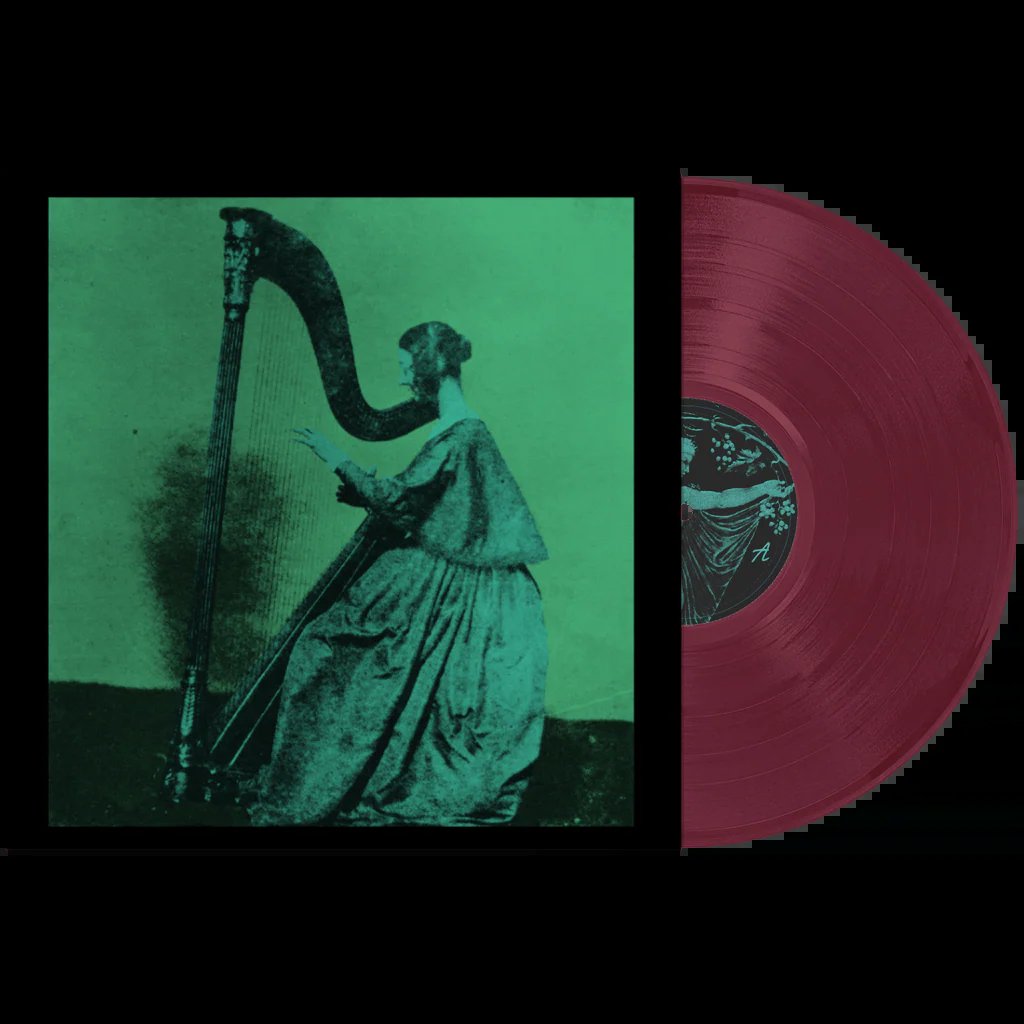 LPDG046.jpg BLACK WINE - Summer Of Indifference Vinyl Record - Image 1