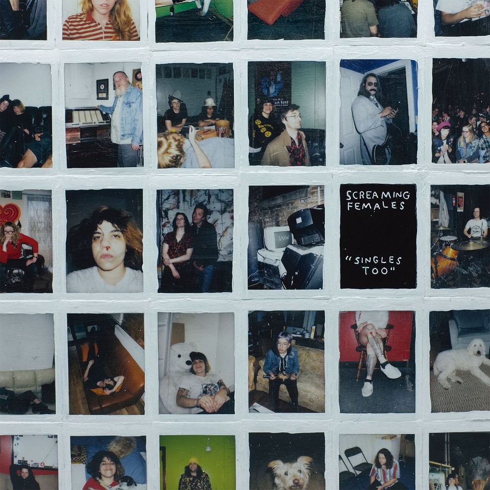 LPDG188.jpg SCREAMING FEMALES - Singles Too - Image 1