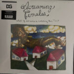 SCREAMING FEMALES - What If Someone Is Watching Their Tv? (Maroon Vinyl)