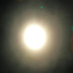 SALAMANDER WOOL - Solar Solipsis