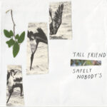 TALL FRIEND - Safely NobodyS