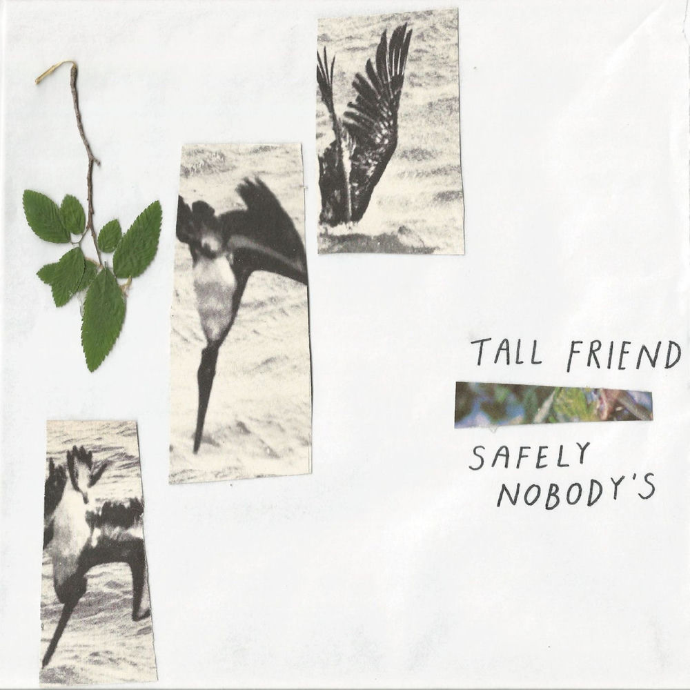 LPEIS066.jpg TALL FRIEND - Safely NobodyS - Image 1