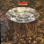 ISLANDS - What Occurs (Gold Vinyl)