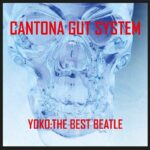 CANTONA GUT SYSTEM - Yoko: The Best Beatle Vinyl Record
