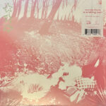SHOWER CURTAIN - Words From A Wishing Well (Cloudy Clear Vinyl)