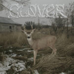 SLEEPERS BELL - Clover