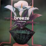 BREEZE - Sour Grapes (Crushed Grape Vinyl) Vinyl Record