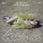 HUA LI - Ripe Fruit Falls But Not In Your Mouth (Fruit Juice Pink Vinyl)