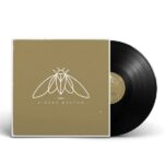 CICADA RHYTHM - Cicada Rhythm Vinyl Record