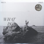 DELTA SPIRIT - What Is There (Clear/Black Marbled Vinyl) (Indie Exclusive)