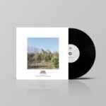 BERKE CAN OZCAN / ARVE HENRIKSEN / JONAH PARZEN-JOHNSON - Twin Rocks Vinyl Record