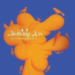 BIRTHDAY ASS - Head Of The Household Vinyl Record