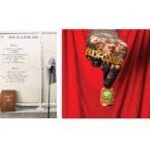 BUCK GOOTER - Head In A Bird Cage Vinyl Record