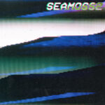 SEA MOSS - Seamoss2