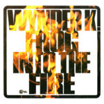 WYNDER K FROG - Into The Fire