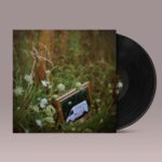CALYX - Stay Gone Vinyl Record