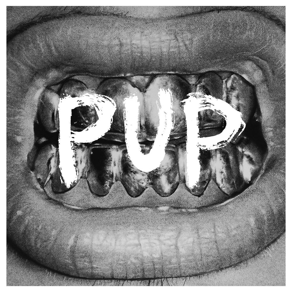 LPSD71541.jpg PUP - Pup - Image 1