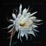 HEATHER MALONEY - Exploding Star Vinyl Record