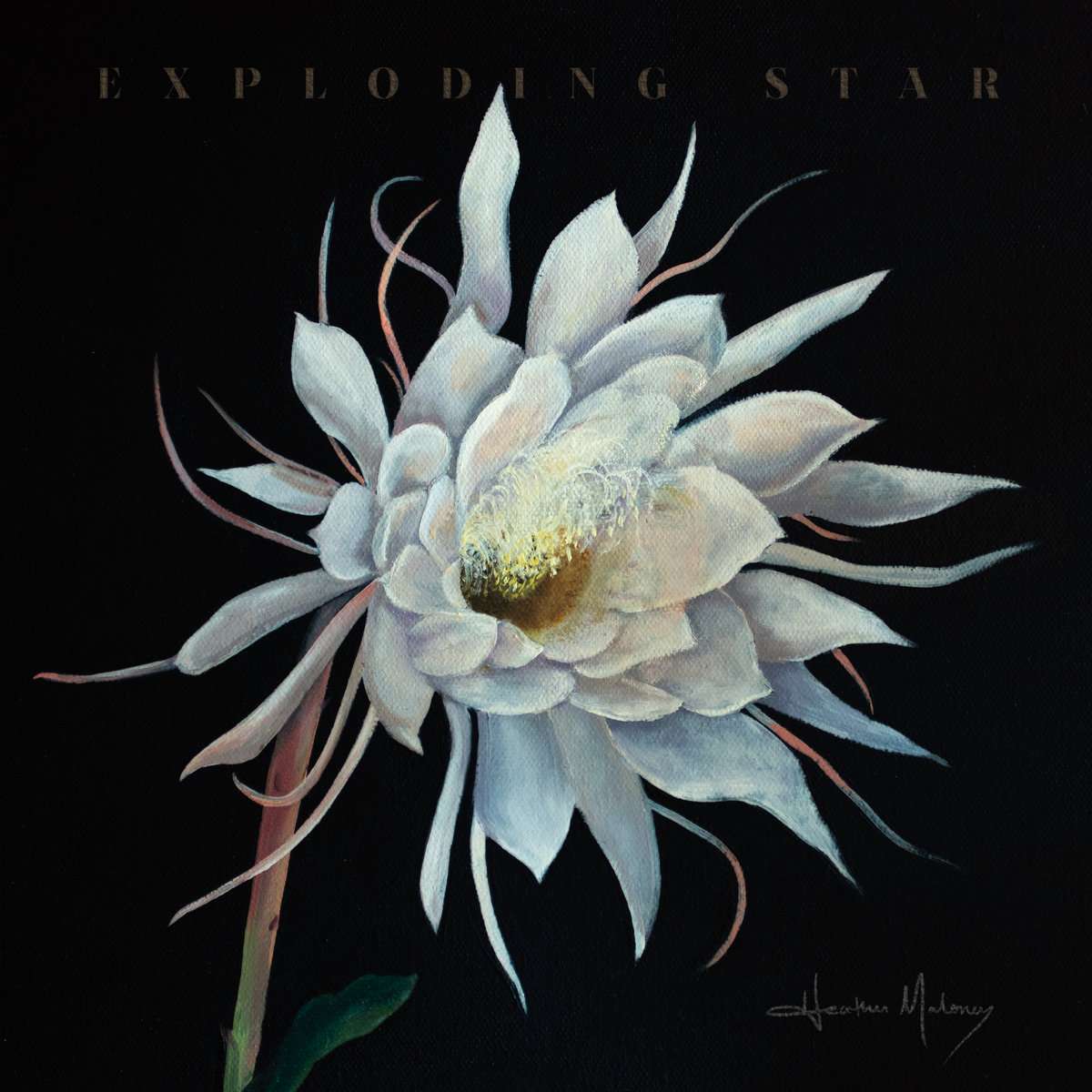 LPSIG7059.jpg HEATHER MALONEY - Exploding Star Vinyl Record - Image 1