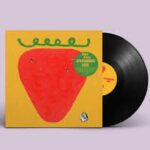 BIG BILL - Strawberry Seed Vinyl Record