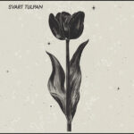 SVART TULPAN - Svart Tulpan (Smoke Colored Vinyl)