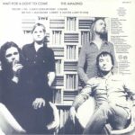 AMAZING - Wait Fort A Light To Come Vinyl Record