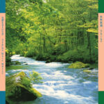 SHIHO YABUKI - Alpha Wave Music