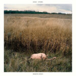 SINAI VESSEL - Brokenlegged