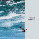 SIGNALS MIDWEST - At This Age
