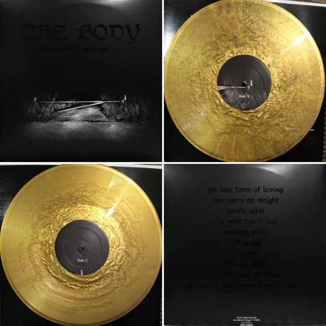 LPTHRILL460IE.jpg BODY - I Have Fought Against It. But I Cant Any Longer. (Gold Vinyl) (Indie Exclusive) Vinyl Record - Image 1
