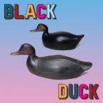 BLACK DUCK - Black Duck (Orange Vinyl) (Indie Exclusive) Vinyl Record