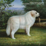 DOUGLAS ANDREW MCCOMBS - Vmak<Kombz<<<Duglas<<6Ndr7<<<