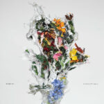 BIG/BRAVE - A Chaos Of Flowers
