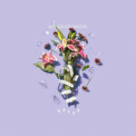 SLINGSHOT DAKOTA - Break