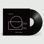 ADULKT LIFE - Book Of Curses Vinyl Record