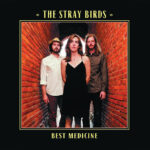 STRAY BIRDS - Best Medicine
