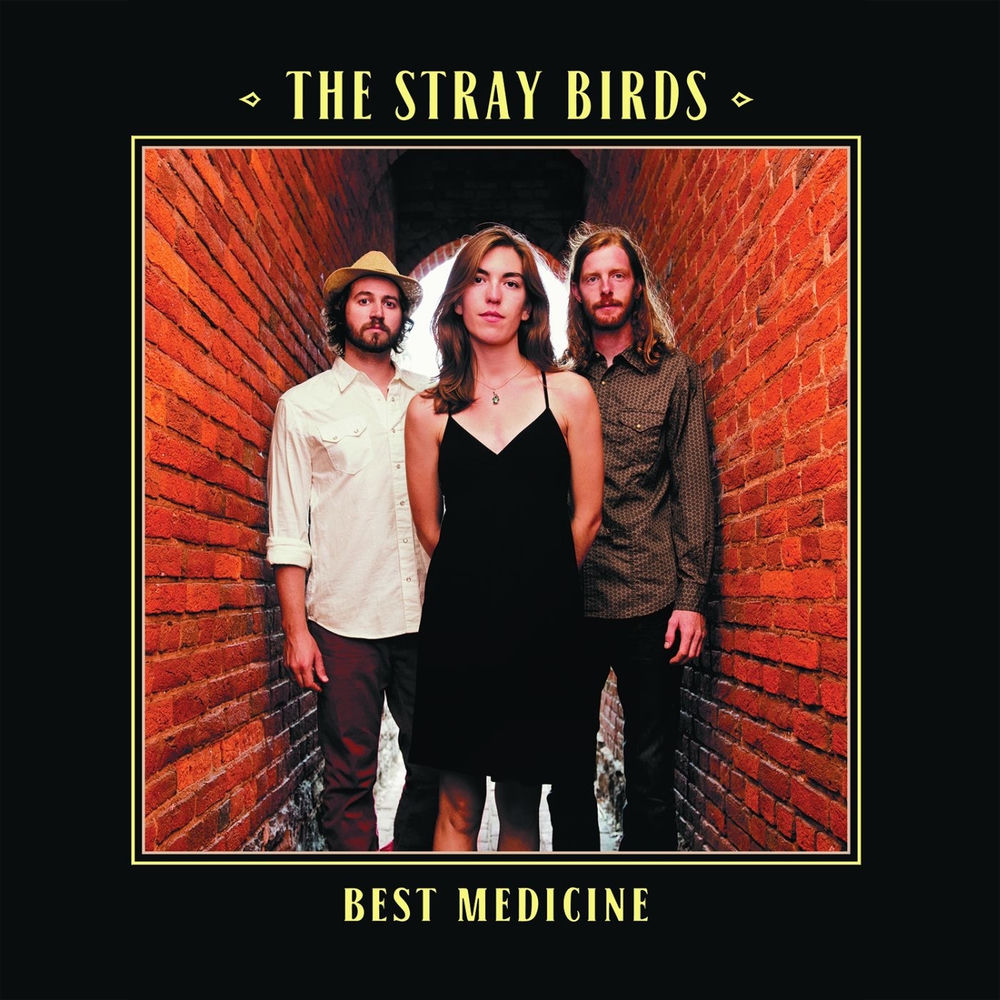 LPYEP2408.jpg STRAY BIRDS - Best Medicine - Image 1