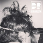 DRESSY BESSY - Kingsized (Coloured Vinyl)