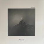 RUEN BROTHERS - Awooo (Frosted Shadow Vinyl)
